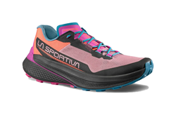 56R412411  PRODIGIO ROSE SPRINGTIME